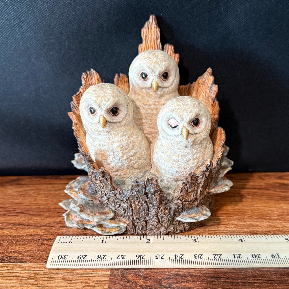 BORDER FINE ARTS Owl Figurine - Picture 5 of 16